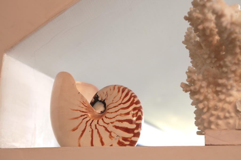 Nautilus Hotel Riccione Kültér fotó